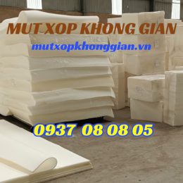 Mút lót ghế sofa D42