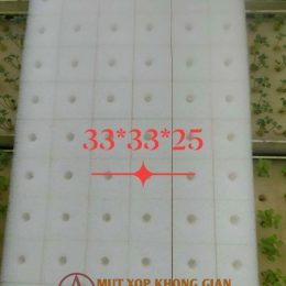 Tấm mút xốp ươm hạt 40×20